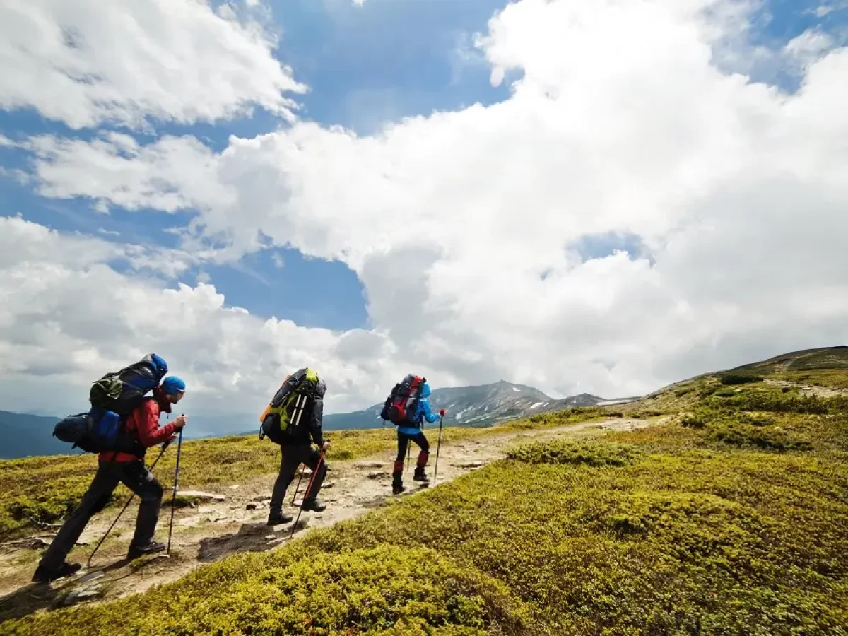 Hiking in Japan: Most Scenic Japanese Hiking Trails